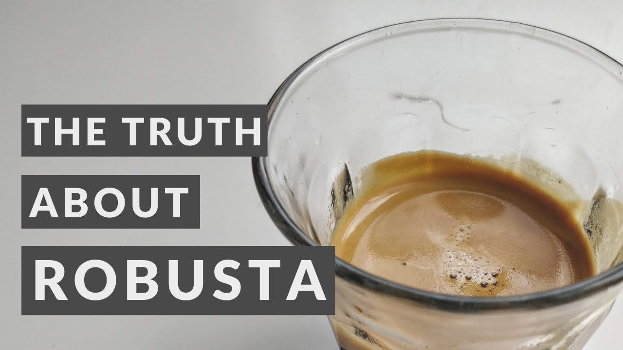 The Enchanting Appeal Of Excelsa Beans Exploring The Exquisite Flavors